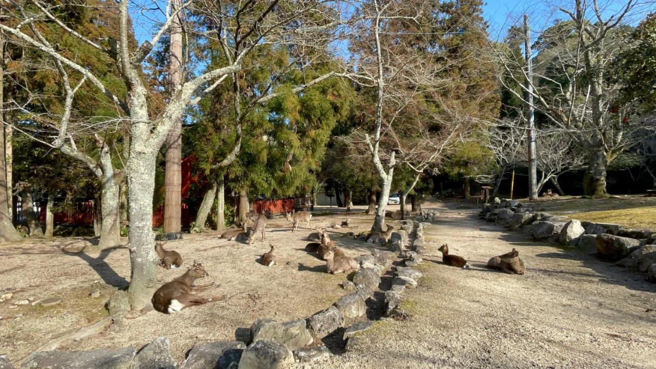 Miyajima Morinoyado Hotell Hatsukaichi Exteriör bild