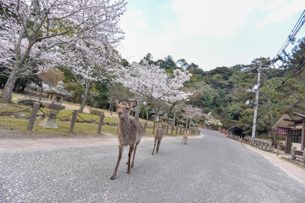 Miyajima Morinoyado Hotell Hatsukaichi Exteriör bild